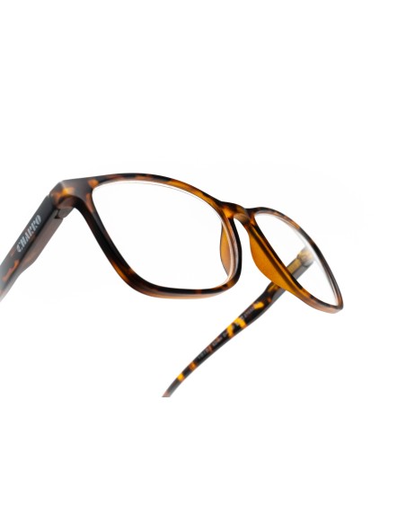 Vermont - Kit of 28 Blue Block Reading Glasses