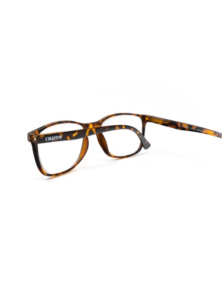 Vermont - Kit of 28 Blue Block Reading Glasses