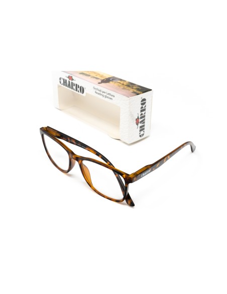Vermont - Kit of 28 Blue Block Reading Glasses
