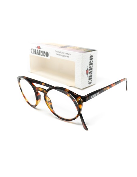 Alaska - Kit of 24 Reading Glasses