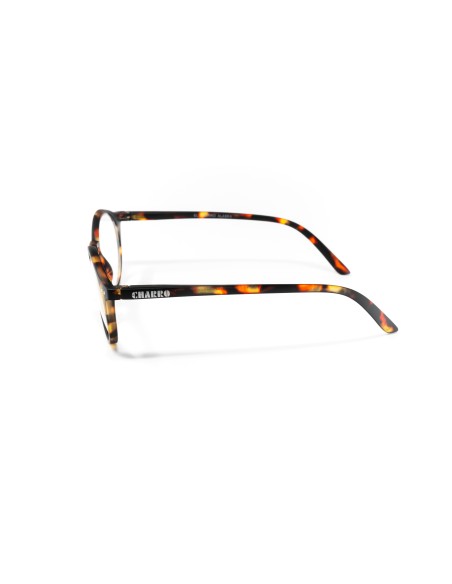 Alaska - Kit of 24 Reading Glasses