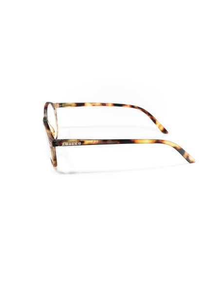 Alaska - Kit of 24 Reading Glasses