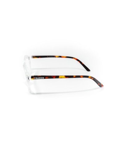 Alaska - Kit of 24 Reading Glasses
