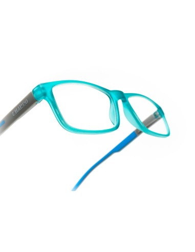 Colorado - Kit of 24 Reading Glasses