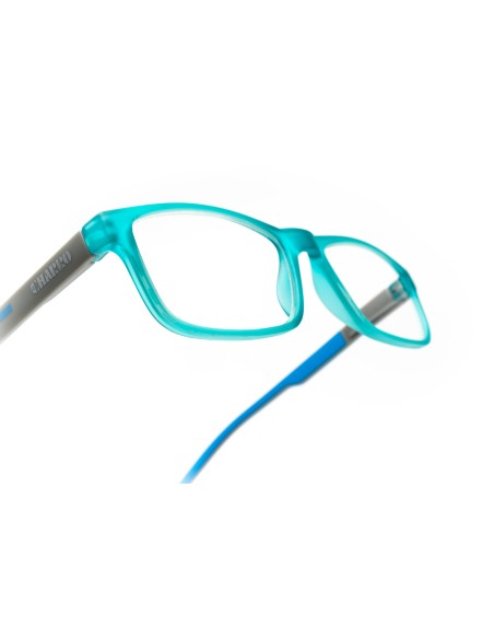 Colorado - Kit of 24 Reading Glasses
