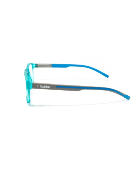 Colorado - Kit of 24 Reading Glasses