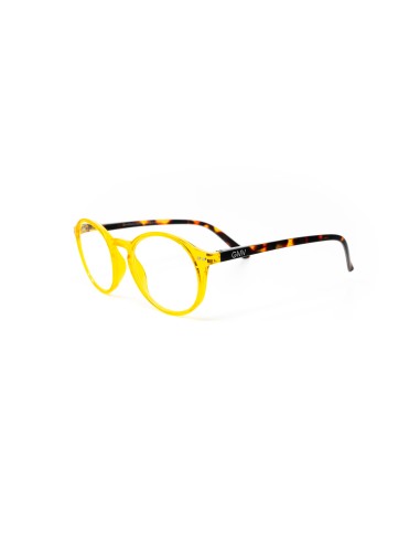 Palermo - Kit of 24 Reading Glasses