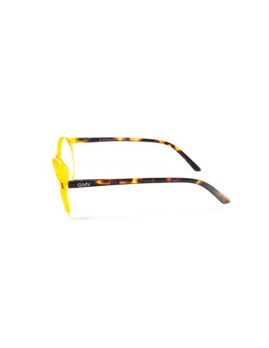 Palermo - Kit of 24 Reading Glasses