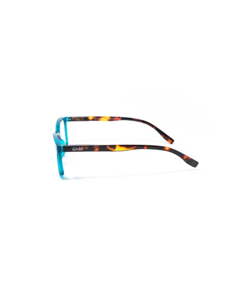 Savona - Kit of 24 Reading Glasses