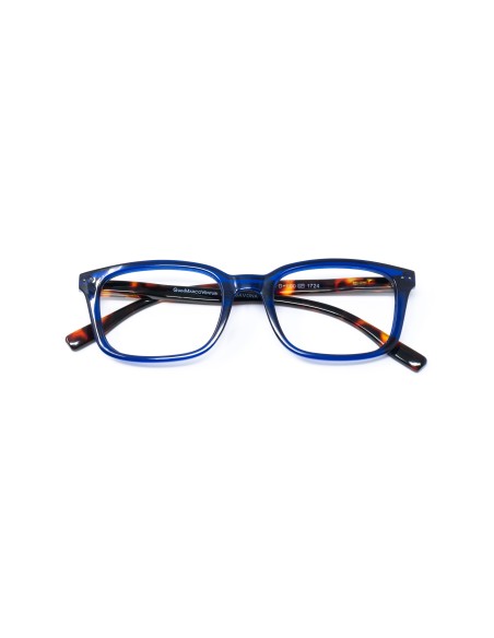 Savona - Kit of 24 Reading Glasses