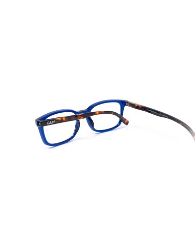 Savona - Kit of 24 Reading Glasses