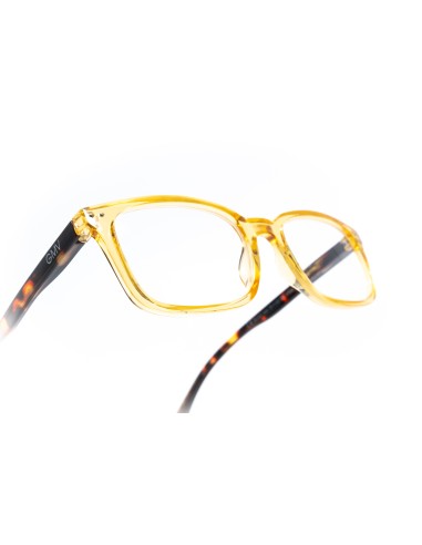 Savona - Kit of 24 Reading Glasses