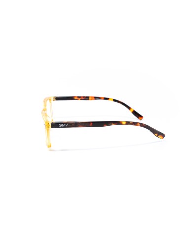 Savona - Kit of 24 Reading Glasses