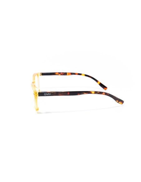 Savona - Kit of 24 Reading Glasses