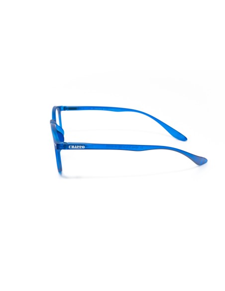 CHARRO® Connecticut Reading Glasses with Long Neck-Hanging Temples