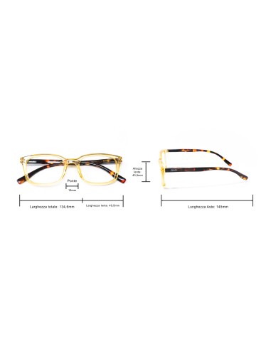 Savona - Kit of 24 Reading Glasses