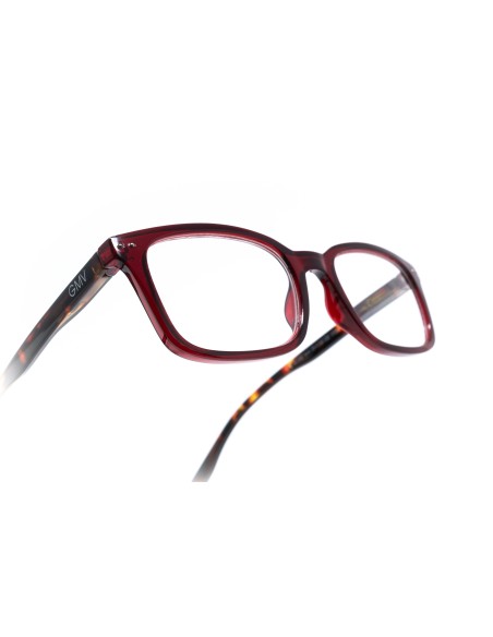 Savona - Kit of 24 Reading Glasses