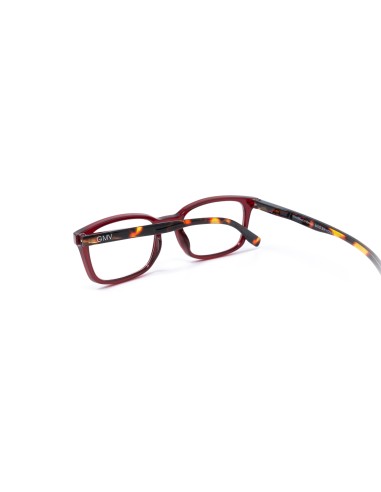 Savona - Kit of 24 Reading Glasses