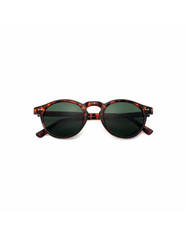 Paris - Kit of 16 Sunglasses Paris - Kit of 16 Sunglasses