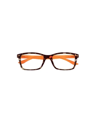 Fashion - Kit of 24 Reading Glasses Fashion - Kit of 24 Reading Glasses