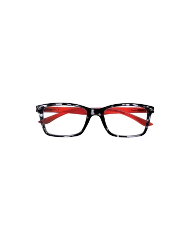 Fashion - Kit of 24 Reading Glasses Fashion - Kit of 24 Reading Glasses