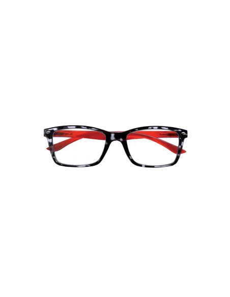 Fashion - Kit of 24 Reading Glasses