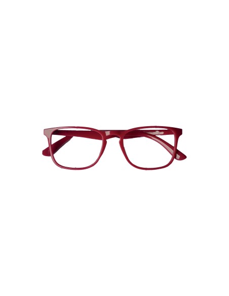 Twin 6 - Kit da 24 Confezioni Occhiali da Lettura 2x1