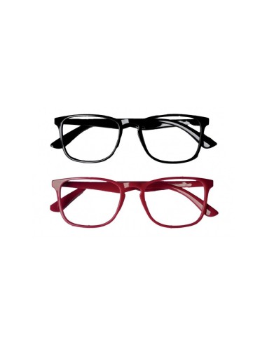 Twin 6 - Kit of 24 Packs of 2x1 Reading Glasses Twin 6 - Kit of 24 Packs of 2x1 Reading Glasses