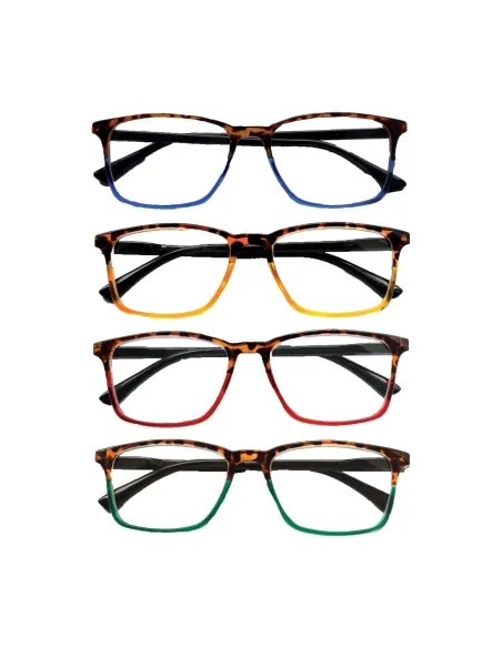 Double - Kit of 24 Reading Glasses