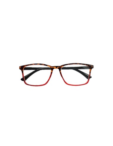 Double - Kit of 24 Reading Glasses