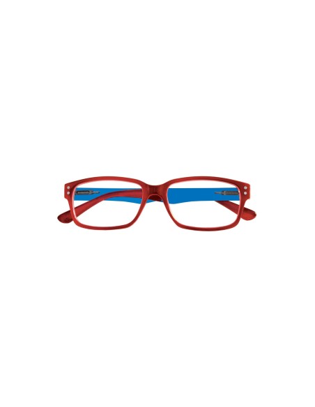 Mixer - Kit of 24 Reading Glasses