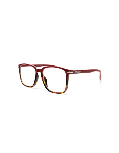 Messico - Kit of 24 Reading Glasses