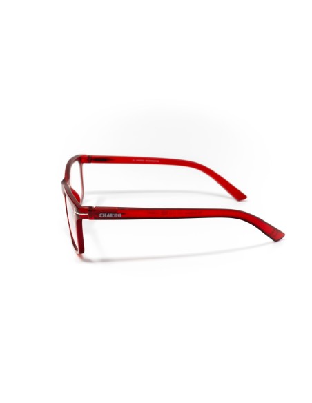Washington - Kit of 24 Reading Glasses