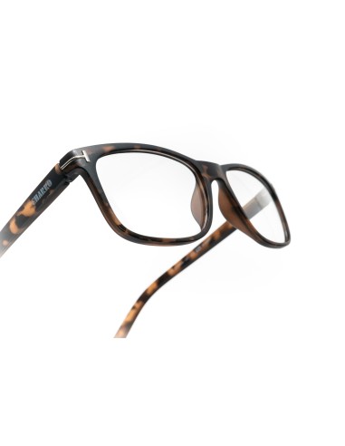 Washington - Kit of 24 Reading Glasses