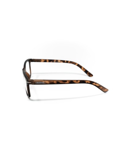 Washington - Kit of 24 Reading Glasses