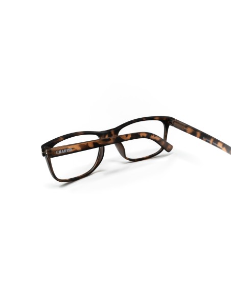 Washington - Kit of 24 Reading Glasses