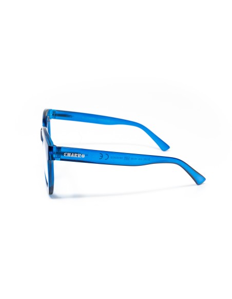 Carolina - Kit of 24 Reading Glasses