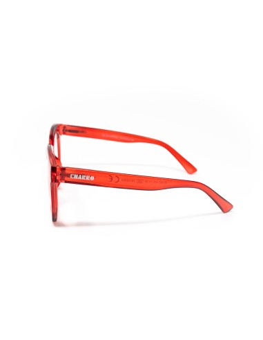Carolina - Kit of 24 Reading Glasses