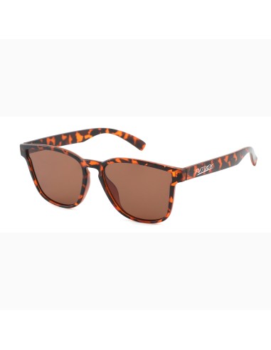 Rome - Kit of 16 Sunglasses Rome - Kit of 16 Sunglasses