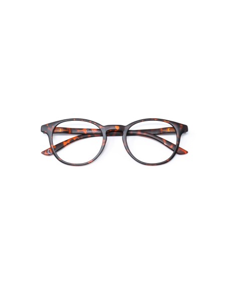 Bologna - Kit of 24 Reading Glasses