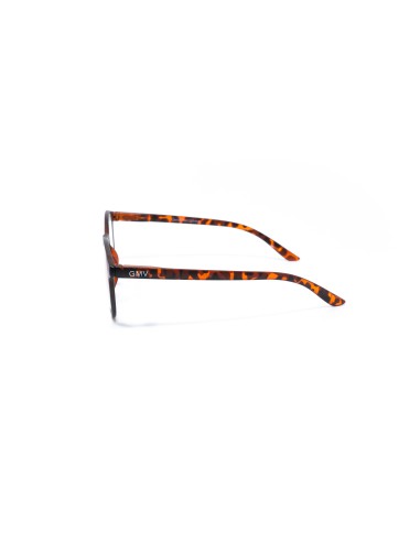 Bologna - Kit of 24 Reading Glasses