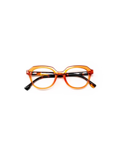 Ferrara - Kit of 24 Reading Glasses