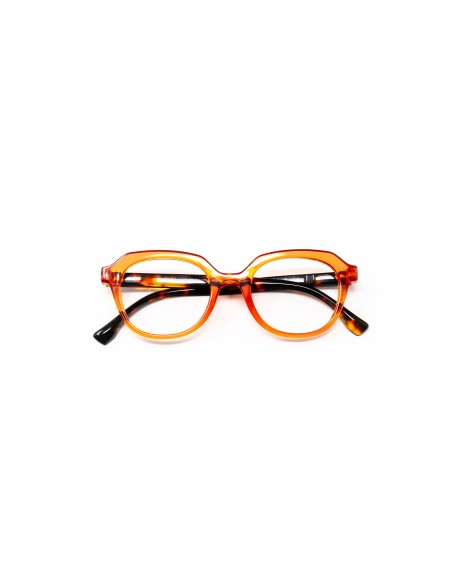 Ferrara - Kit of 24 Reading Glasses