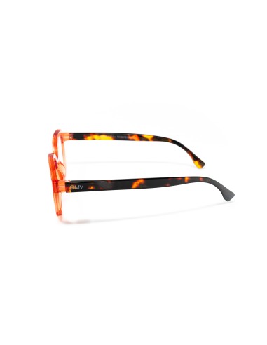 Ferrara - Kit of 24 Reading Glasses