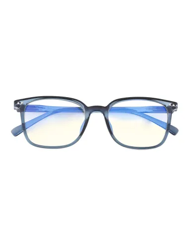 Blue Block - Kit of 24 Reading Glasses
