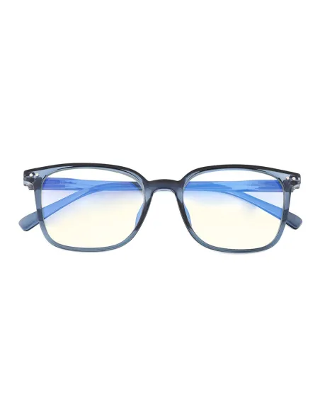 Blue Block - Kit of 24 Reading Glasses