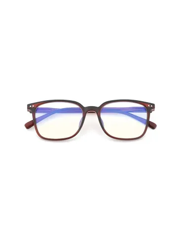 Blue Block - Kit of 24 Reading Glasses