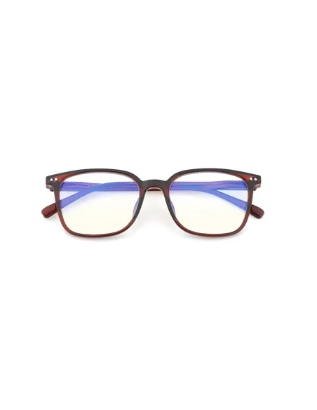 Blue Block - Kit of 24 Reading Glasses