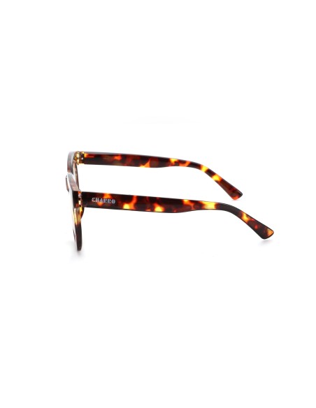 South Carolina - Kit of 24 Reading Glasses