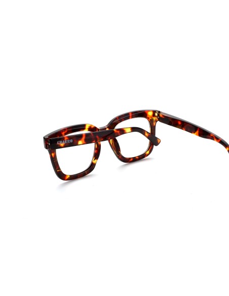 South Carolina - Kit of 24 Reading Glasses